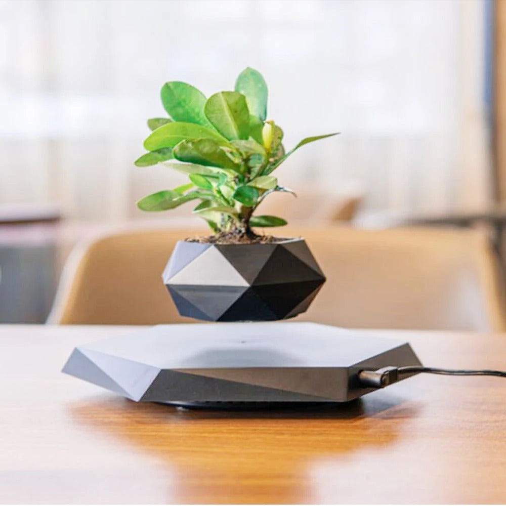 Magnetic Floating Plant – Levitating Pot for Modern Decor – by Nuvue | Nuvue