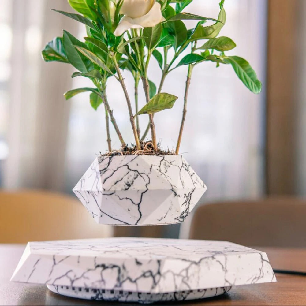 Magnetic Floating Plant – Levitating Pot for Modern Decor – by Nuvue | Nuvue