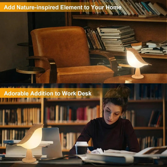 Brown leather armchair and small table lamp in a room with bookshelves.